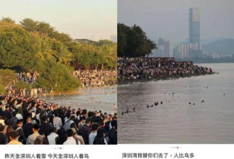 中国最贵的楼盘 它们居然可以免费入住