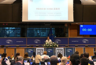 历史一刻：萧美琴欧洲议会演说掌声如雷 求合照