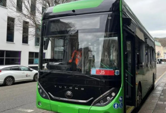 继丹麦后 英国就中国汽车“锁死键”展开调查