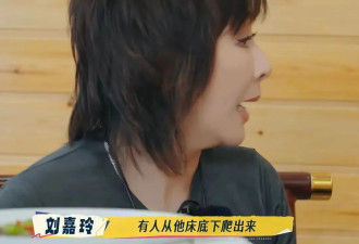 刘嘉玲曝：刘德华住酒店，16岁粉丝躲床底一天
