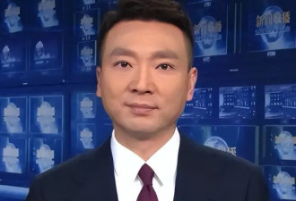 一人未婚一人丁克,两人扛起新闻联播大旗,用热爱定义奉献?