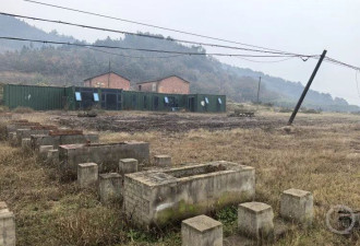 国家级保护区内研学项目烂尾,河南罗山县约200亩耕地"非粮化"