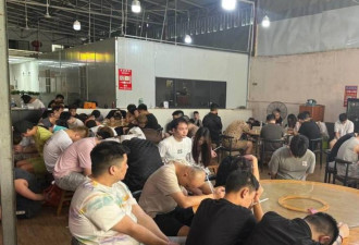 柬埔寨剿电信诈骗窝点拘捕263人 包括207名中国人