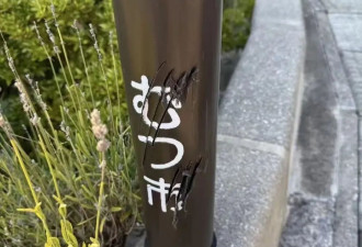 “开始记得人的味道” 日本熊灾最新进展吓人