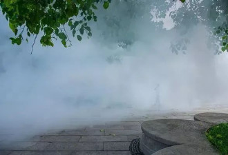 灭蚊36天，一个基层工作者和她消失的周末