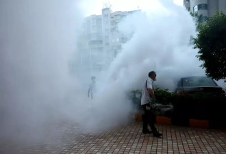 灭蚊36天，一个基层工作者和她消失的周末