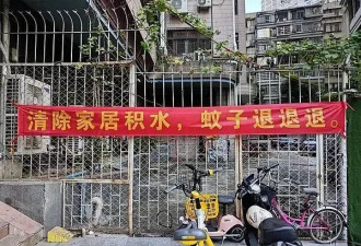 灭蚊36天，一个基层工作者和她消失的周末