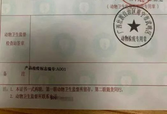 7.8吨冷冻猪脚“失踪”疑云：从广西运往广东竟在河南被扣押