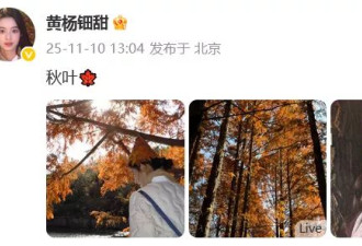 耳环风波后，旋涡中心的黄杨钿甜首发文