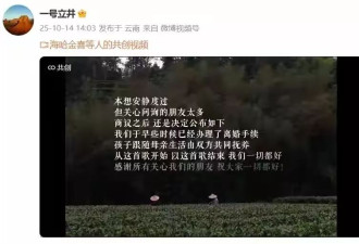 离婚8小时就冲进直播间！李亚鹏的"创业脑"有多可怕？