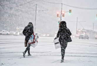 出行警报！多伦多今晨或现强降雪+能见度骤降！400以东最危险
