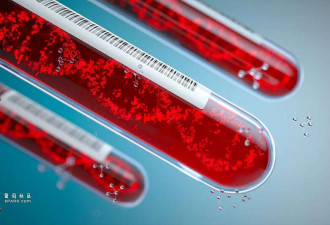 替代人血清白蛋白:稻米做的血 你敢用吗?