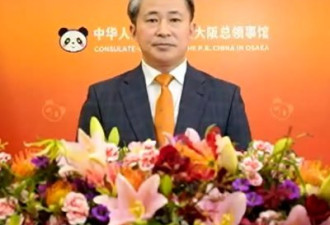 中国外交官战狼言论引爆日不满 薛剑亲属遭起底