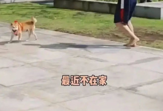  李连杰为返老还童与武僧换心？本人晒照澄清 