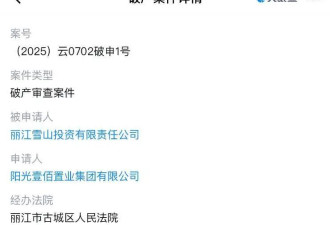 李亚鹏雪山艺术小镇被申请破产 原股东股权归零？