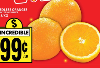 本周特价:鸡蛋$2.99/牛奶$5/菜油$5.98/免费送10lb土豆、乐高