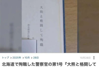 媒体:日本熊灾爆发 后续剧情一个比一个抽象
