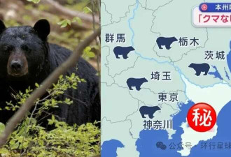 媒体:日本熊灾爆发 后续剧情一个比一个抽象