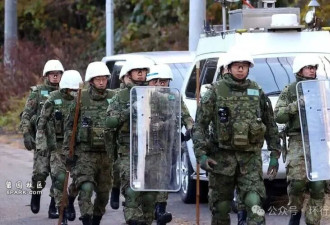 媒体:日本熊灾爆发 后续剧情一个比一个抽象