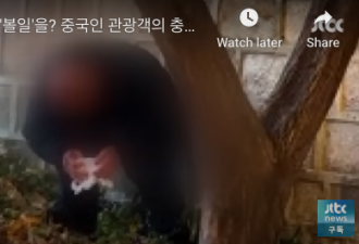中国游客在著名景点当众脱裤大便？网络又炸了