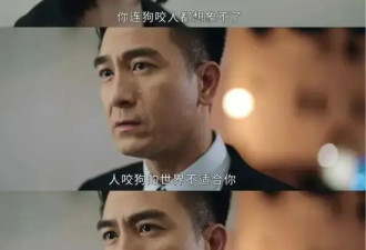 佘诗曼：忙着成功，没空恋爱