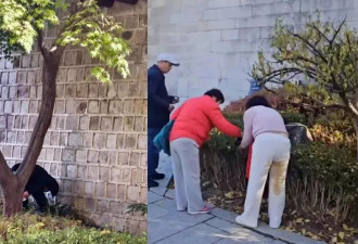 中国游客在著名景点当众脱裤大便？网络又炸锅了