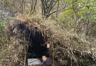荒野求生"刀疤哥"走红：钻木取火 每天吃30猕猴桃