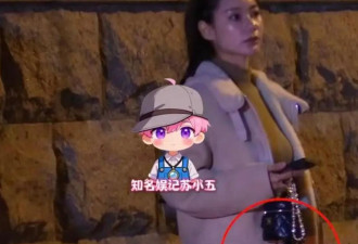 狗仔曝汪小菲喜迎三胎？马筱梅被拍到小腹隆起明显，疑成功怀孕