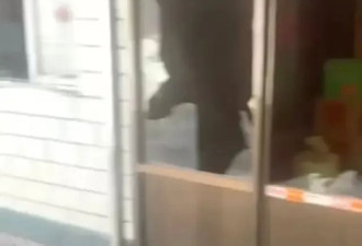 一条狗被摔死后，引发的一起邻里血案