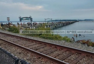 加国总理卡尼现身大温网红景点 在做啥？