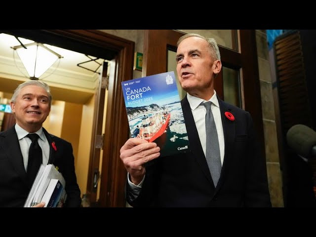 LILLEY UNLEASHED: PM Carney oversells and under delivers federal budget - YouTube