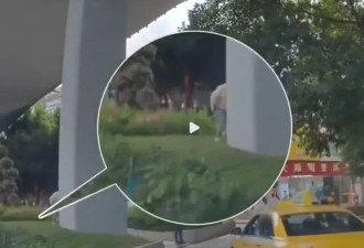 印度游客来中国：庐山瀑布洗澡，当街大小便...