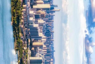 中国顶尖教授，涌向一个“非主流”城市