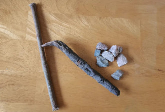 在加拿大上学一个半月 老二说他想回国了