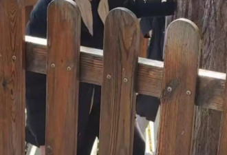辛柏青李乃文在大孤山被偶遇，2次同行引猜测