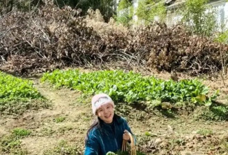 50岁龚琳娜独居深山，房子后面是一片坟地，离婚后养猫为伴不害怕