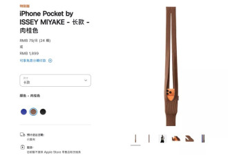 苹果天价配件Pocket开卖即售罄，转手溢价1200元