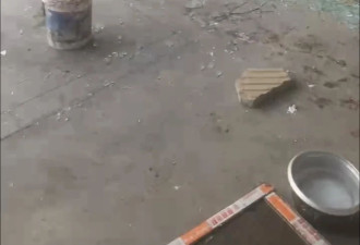 “狗咬人→人杀狗→人杀人”，是否防卫过度？