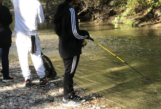 华人网友爆料：三文鱼产卵地有人违法捕鱼实在是触目惊心