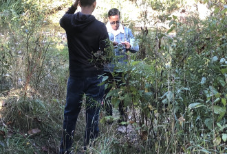 华人网友爆料：三文鱼产卵地有人违法捕鱼实在是触目惊心