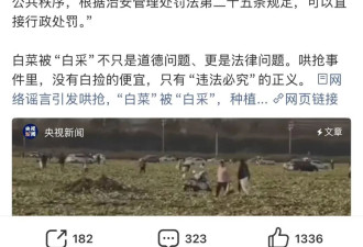 谁该为200亩白菜负责？官媒转发谣言让菜农血本无归