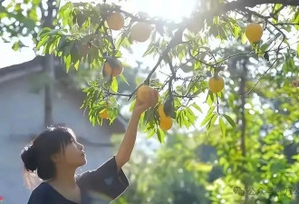 李子柒的自建房，才是最令人羡慕的住宅