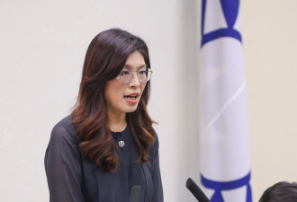 国民党主席郑丽文 最后的民主进步党人