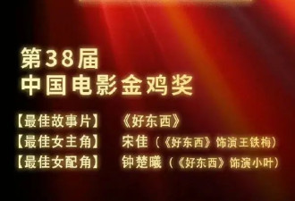 《好东西》横扫金鸡奖是最大赢家！宋佳影后易烊千玺影帝