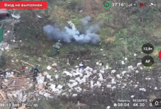 俄媒：视频显示，一头猪突然冲出引爆地雷救下...