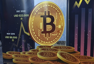 比特币，突发！川普家族财富大幅缩水