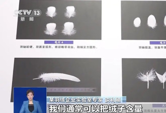 300元到底能不能买一件真羽绒服？