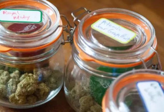 他每天使用医用大麻，担心被认为是“瘾君子”