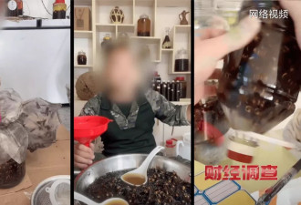 "杀人蜂"遭滥养：利润高达10倍