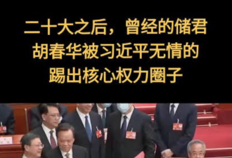 曾经的储君胡春华 被习近平踢出核心权力圈子